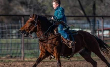 Adult Horse Riding