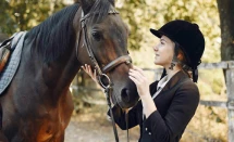 Horse Testimonial