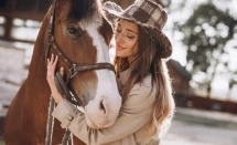 Horse Testimonial