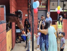  Horse stable